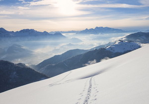 Powder Metallurgy HSS ASP 2055