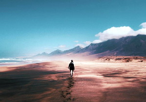 增加滾刀槽數(shù)可以提高刀具壽命